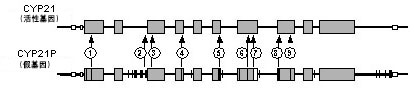 699-3.jpg