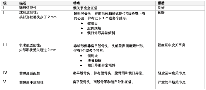 以后髋关节关节炎的 Stulberg 分类和预后